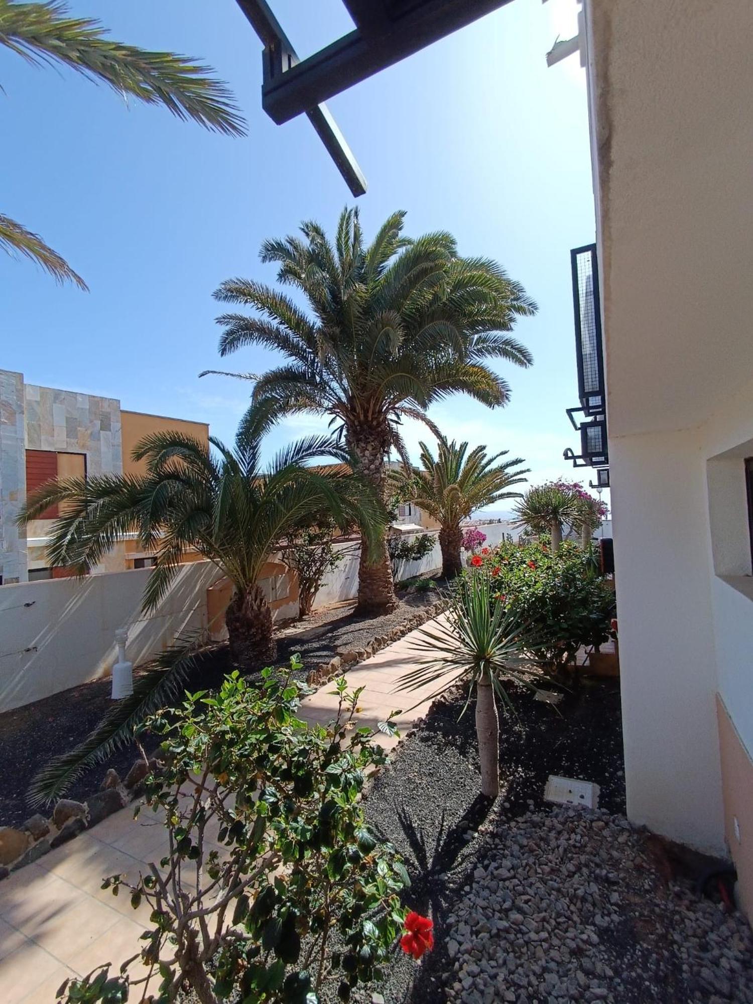 Apartamento Reload Complex Amaya Fuerteventura Costa De Antigua Kültér fotó